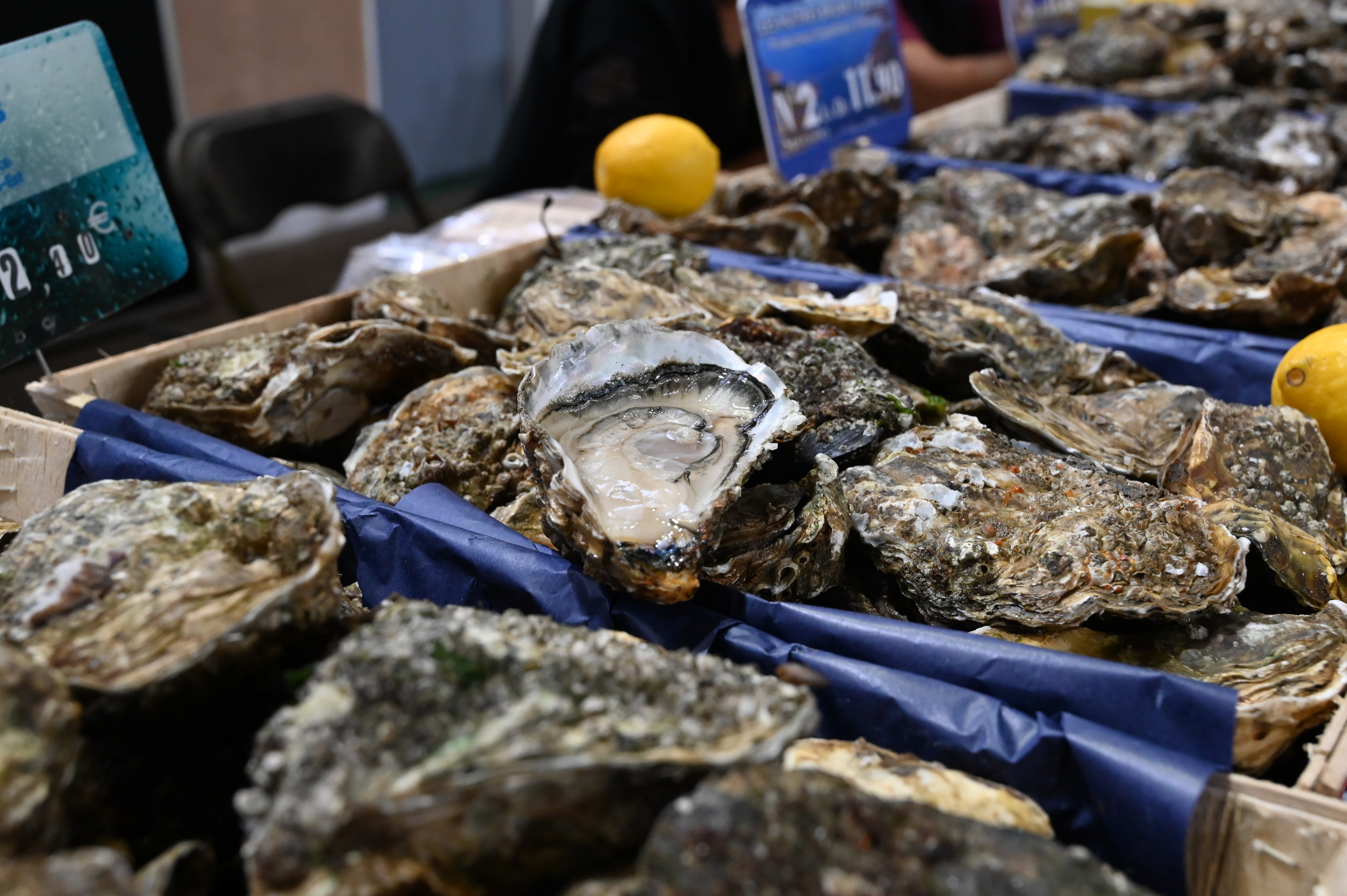 20251108_ASSOCIATIONS_ Salon vins et saveurs_GA-GL (19)